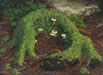 Old Stump