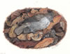 Titmouse