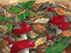 Christmas Mushrooms