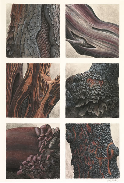 Old Burnt Stump with Waxy Cap Mushrooms