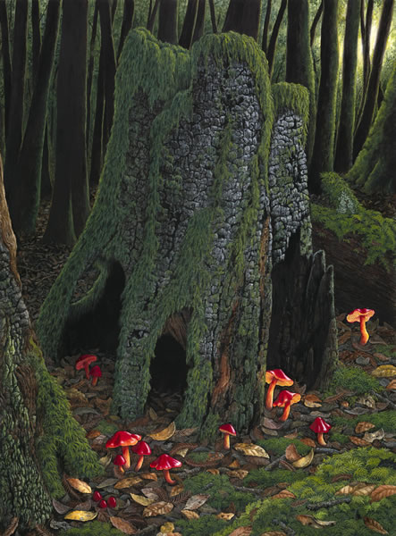 Old Burnt Stump w/Waxy Caps