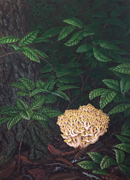 Spirit of the Forest