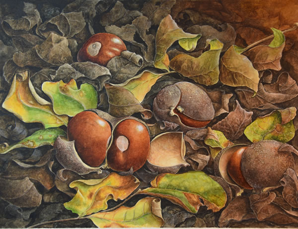 California Buckeyes 2