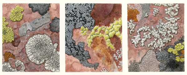 Lichen Triptych