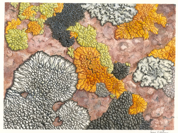 Small Lichen Painting