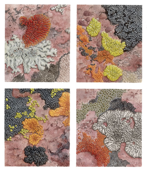 Lichen Quartet 